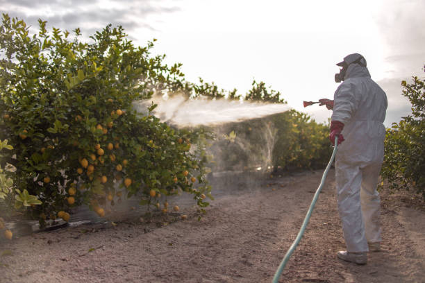 Best Pest Inspection Near Me  in Fultonde, AL