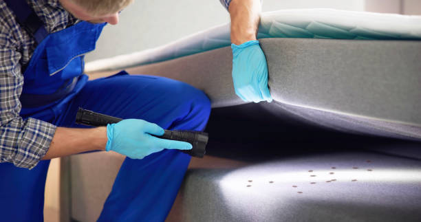 Best Wasp Removal Services  in Fultonde, AL
