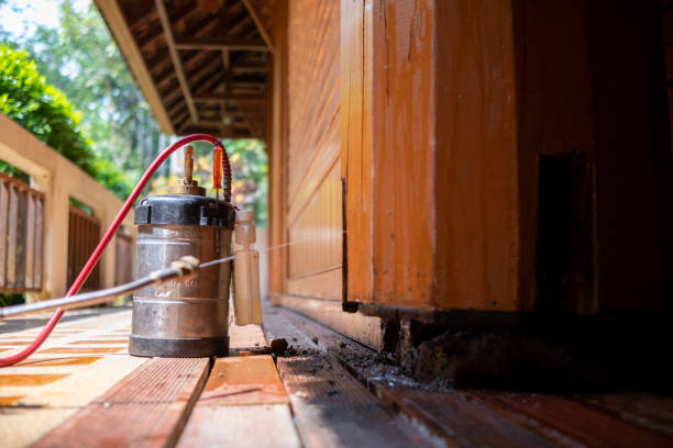 Best Ant Control Services  in Fultonde, AL