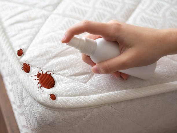 Best Pest Control Near Me  in Fultonde, AL