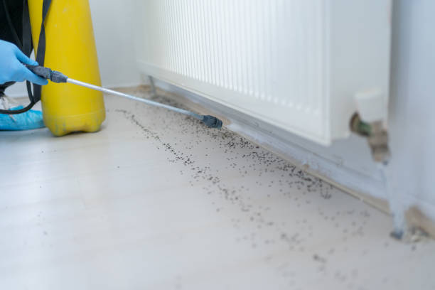 Best Best Pest Control Companies  in Fultonde, AL
