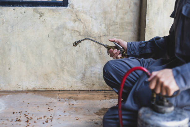 Professional Pest Control in Fultondale, AL