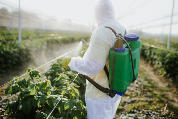 Best Pest Control Near Me in Fultondale, AL